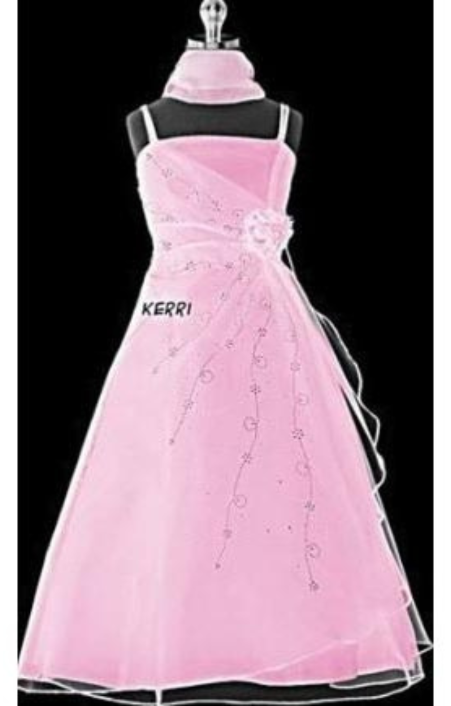 Kerri Organza Long Dress: Pink