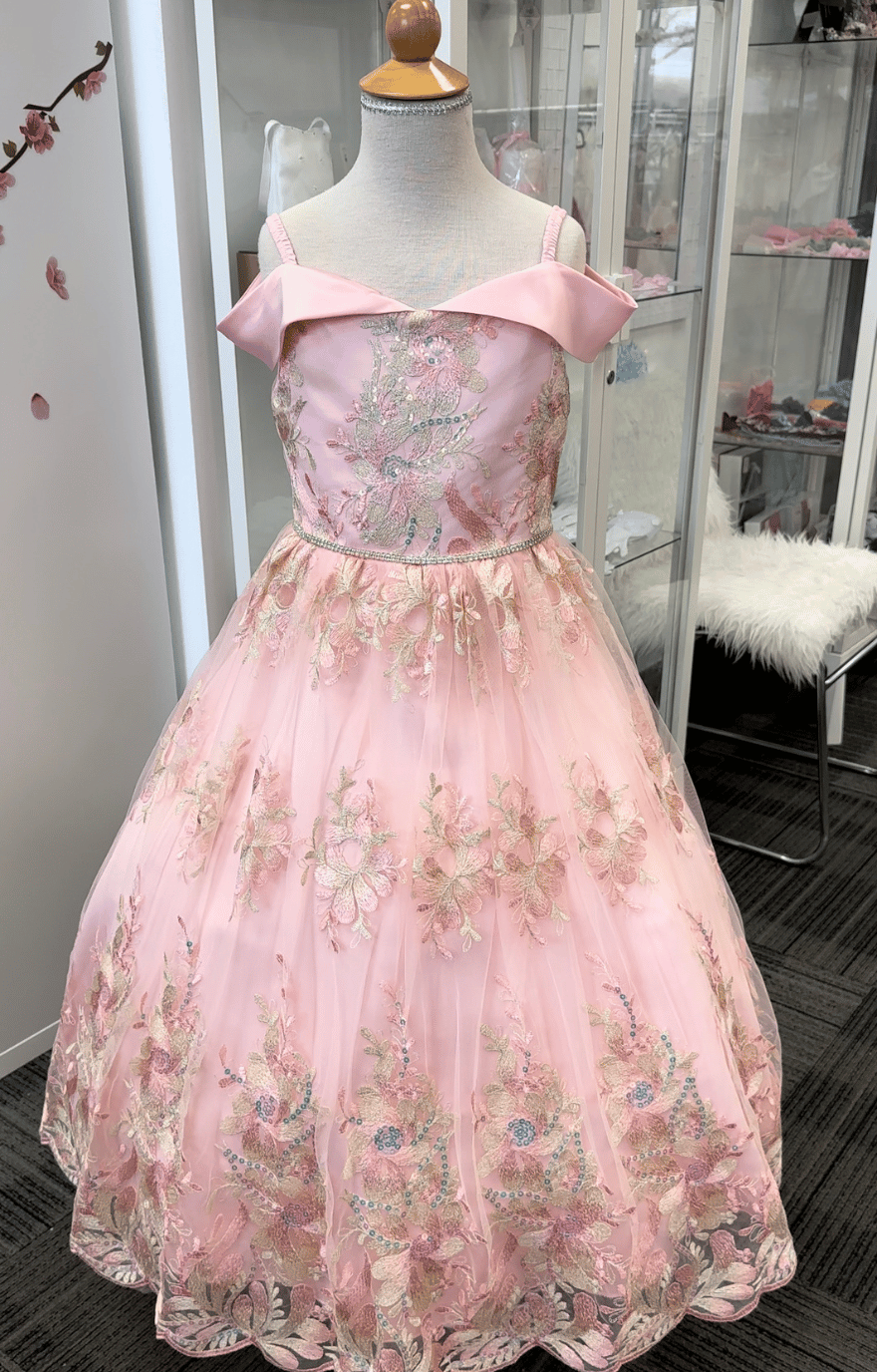 Camille Floor Length Gown: Blush