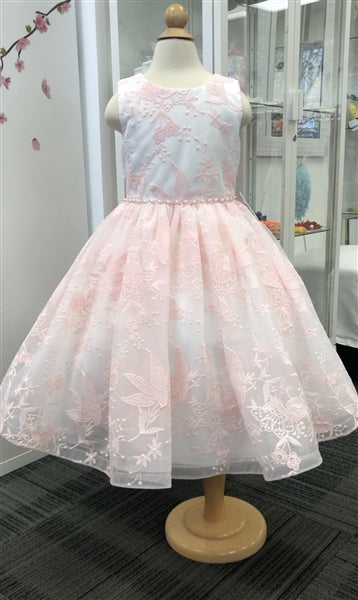 Sienna Lace Dress: Blush