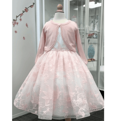 Sienna Lace Dress: Blush