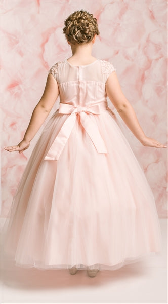 Willow Floor length Gown: BLUSH